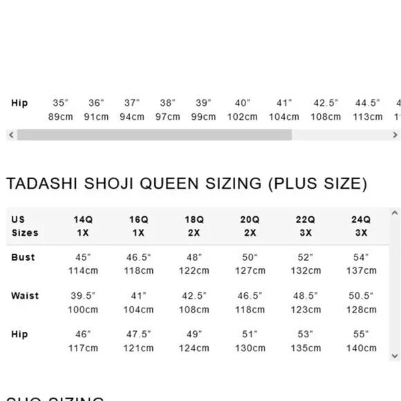 Tadashi Shoji Too Pacific Blue Embroidered Floral Lace Crepe Gown 24Q (3X) NWT - Picture 4 of 6